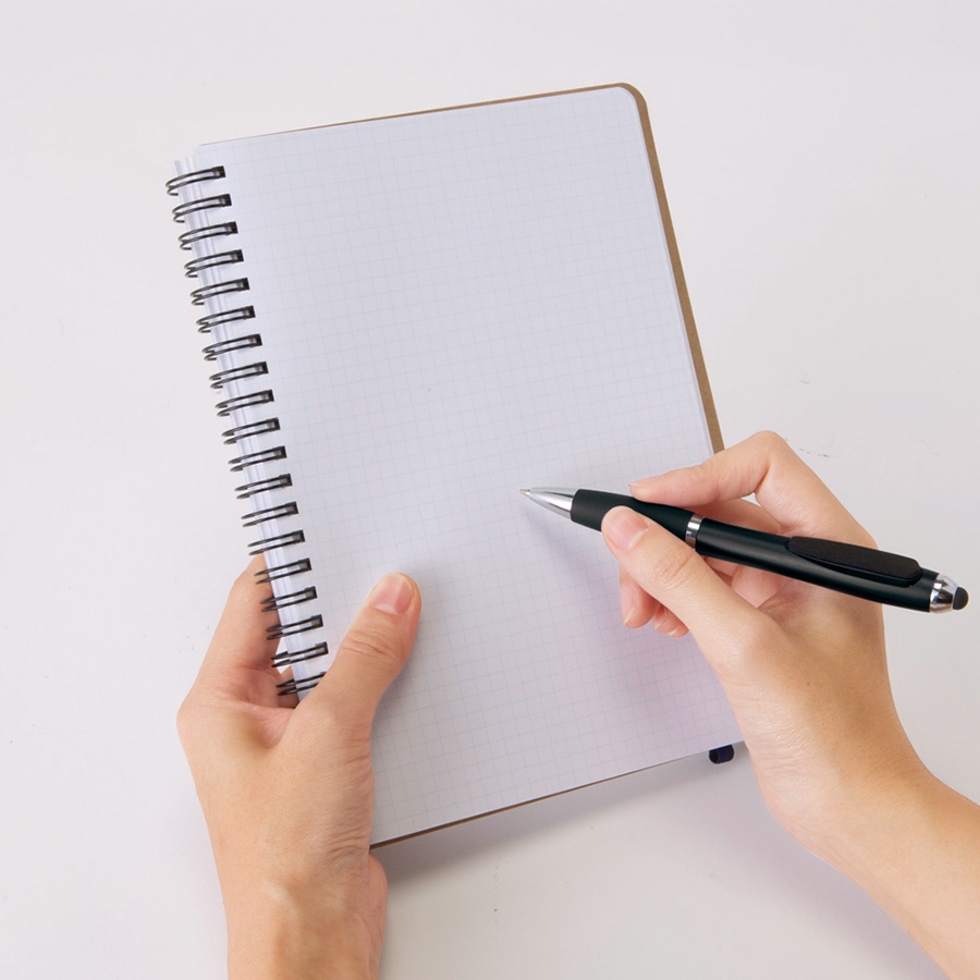 手持ちイメージ